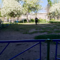НА ЮЖНОМ ЗАВЕРШИЛАСЬ ПЕРВАЯ ВОЛНА ПОКОСОВ ТРАВЫ НА ПРИДОМОВЫХ ПРОСТРАНСТВАХ