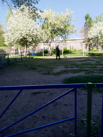 ВО ДВОРАХ ТРЕХ ЖИЛИЩНЫХ УЧАСТКОВ СТАРТОВАЛА ВТОРАЯ ВОЛНА ПОКОСОВ