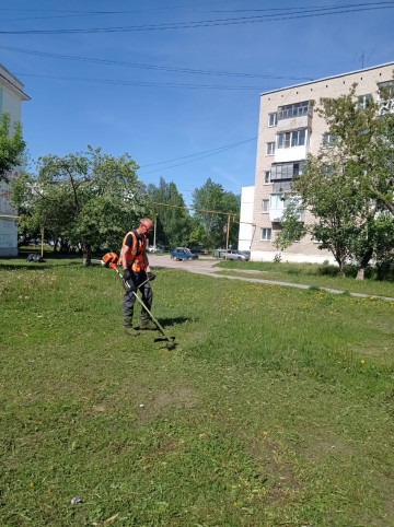 ПОКОСЫ ДВОРОВЫХ ГАЗОНОВ ПОЛНОСТЬЮ ЗАВЕРШЕНЫ