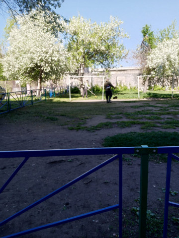 НА БОЛЬШИНСТВЕ ДВОРОВЫХ ГАЗОНОВ ЗАВЕРШАЕТСЯ ТРЕТЬЯ ВОЛНА ПОКОСОВ