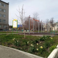 УПРАВЛЯЮЩИЕ КОМПАНИИ НЕ ДОЛЖНЫ ЗАВОЗИТЬ ЗЕМЛЮ ВО ДВОРЫ