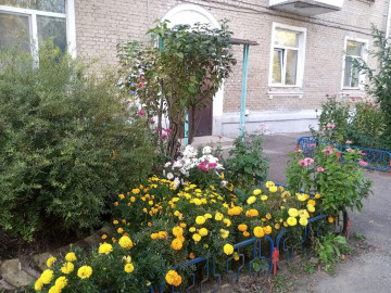 В ЭТОМ ГОДУ КАМЕНЦЫ БУКВАЛЬНО ИГНОРИРУЮТ ОСЕННИЙ ЭКОЛОГИЧЕСКИЙ МЕСЯЧНИК